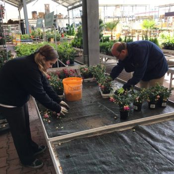 Integrirana zaposlitev v Obiju.