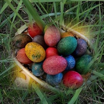 Opomba 2020-04-10 103239