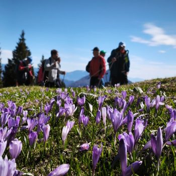 Velika planina 2